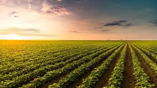 istockphoto-1401722160-170667a